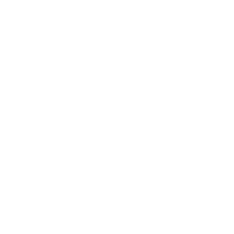 ce logo Brownsville