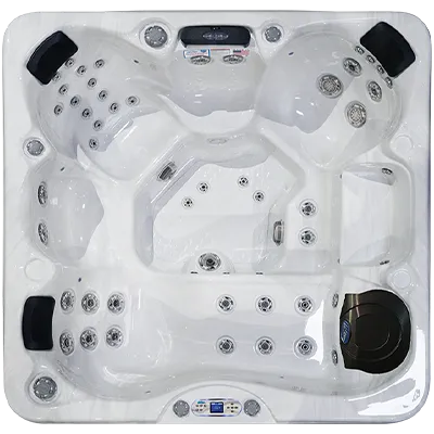 Avalon EC-849L hot tubs for sale in Brownsville